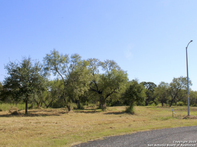 Photo of 185 Short Meadow Dr in Lytle, TX