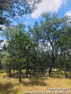 Photo of 26 Mustang Crossing Dr in Pipe Creek, TX