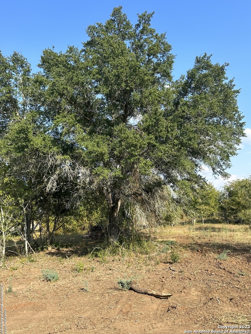 Photo of 5986A Fm 1107 Unit A in Stockdale, TX