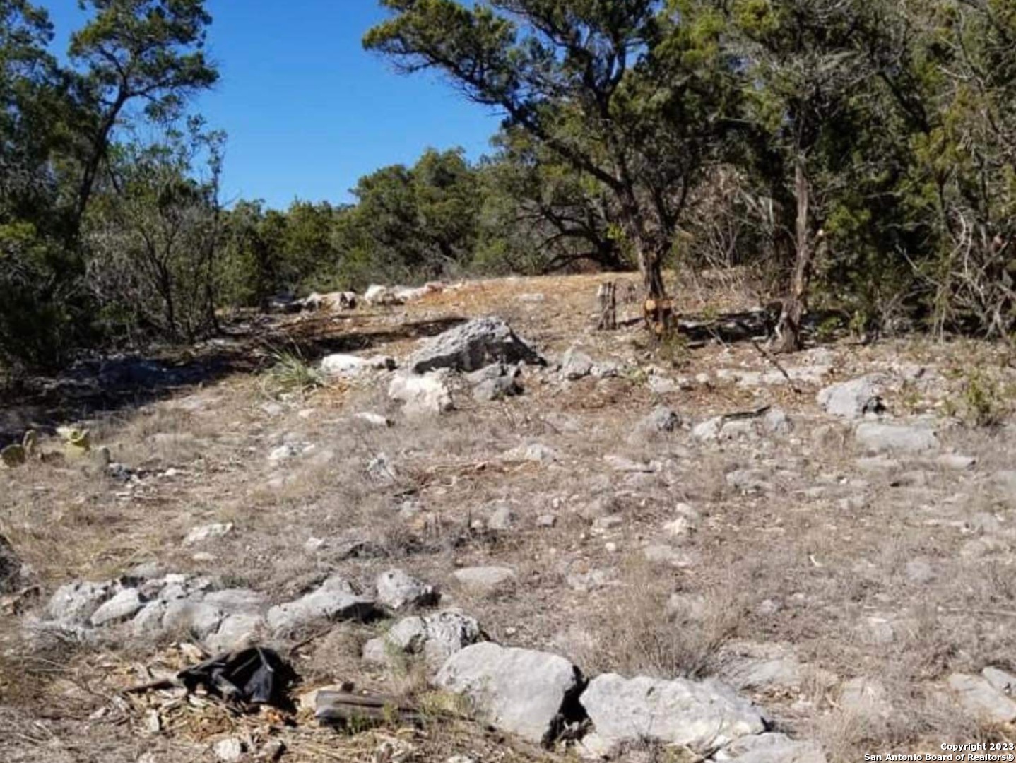Photo of 240 County Rd 2704 in Mico, TX