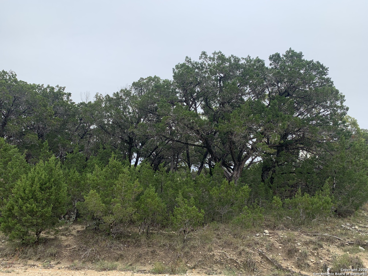 Photo of Lot 463 Topside in Bandera, TX