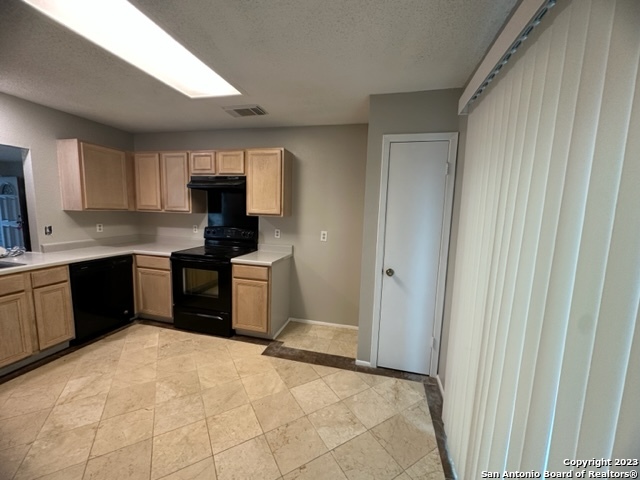 2919 BEECH PLAIN DR, San Antonio, TX 78245