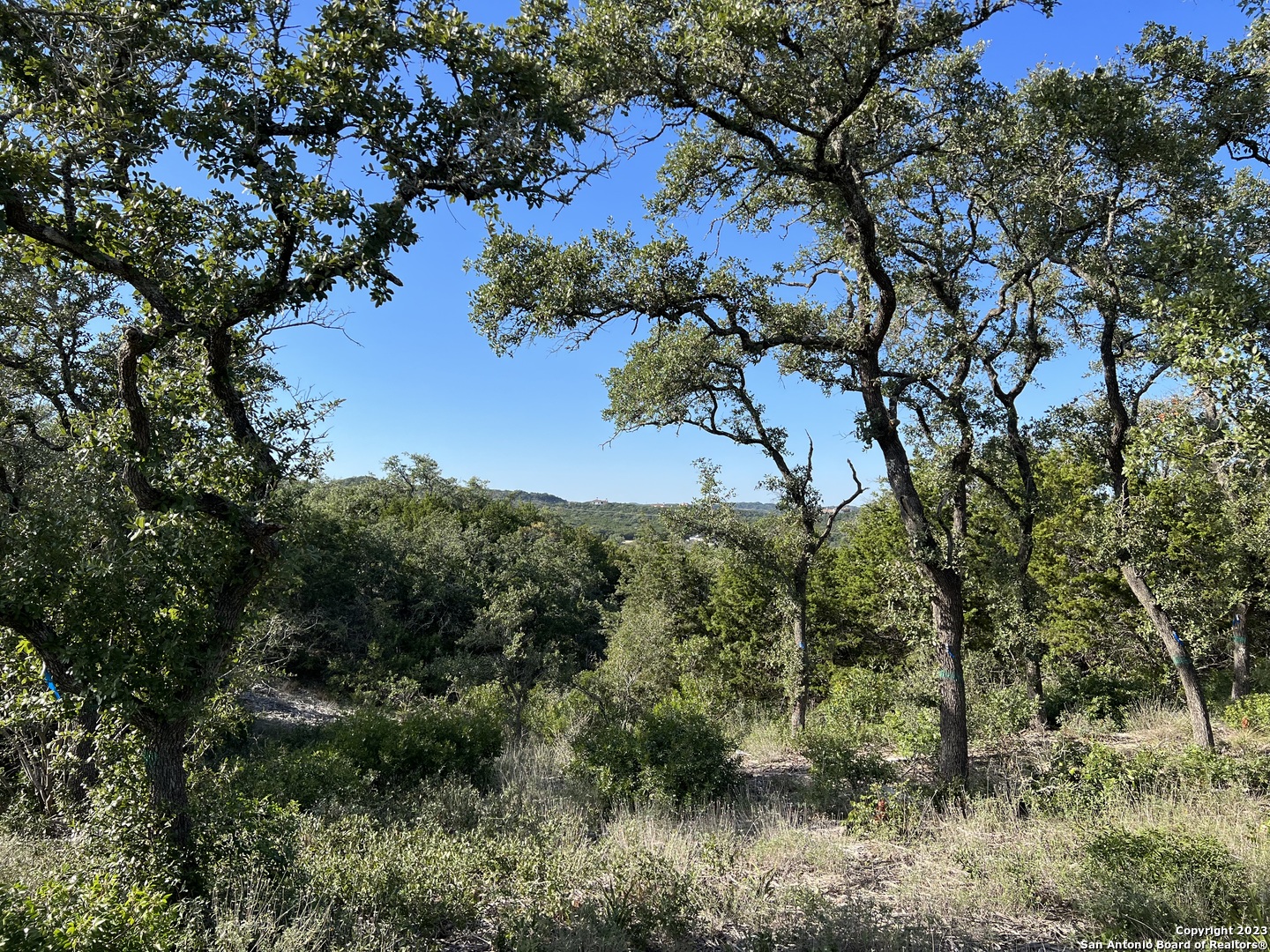 Photo of Tbd Alder Spgs in San Antonio, TX