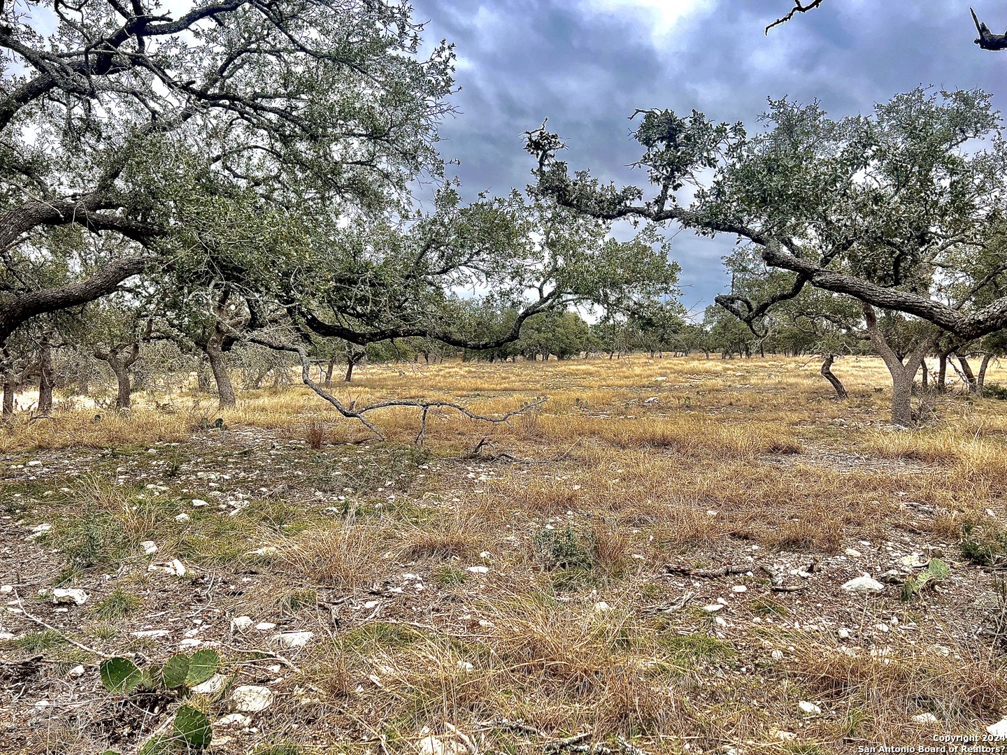 Photo of Lot 8 Cattlemans Xing in Kerrville, TX