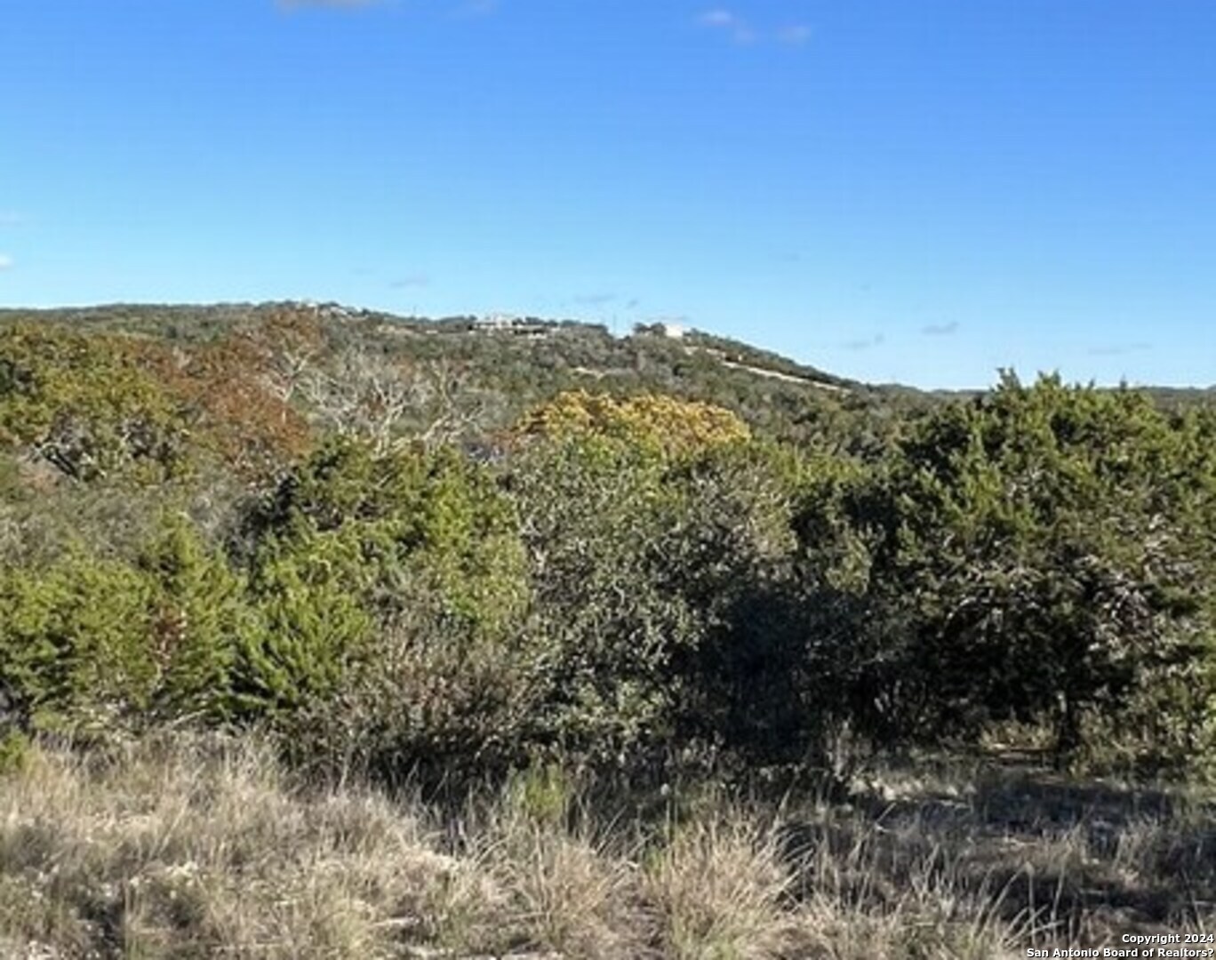Photo of Lot 480 Cr 2766 in Mico, TX