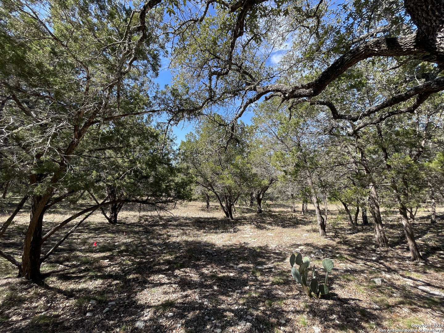 Photo of 27311 Ranch Crk in Boerne, TX