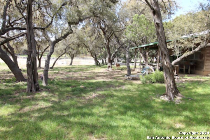 Yard/Garden