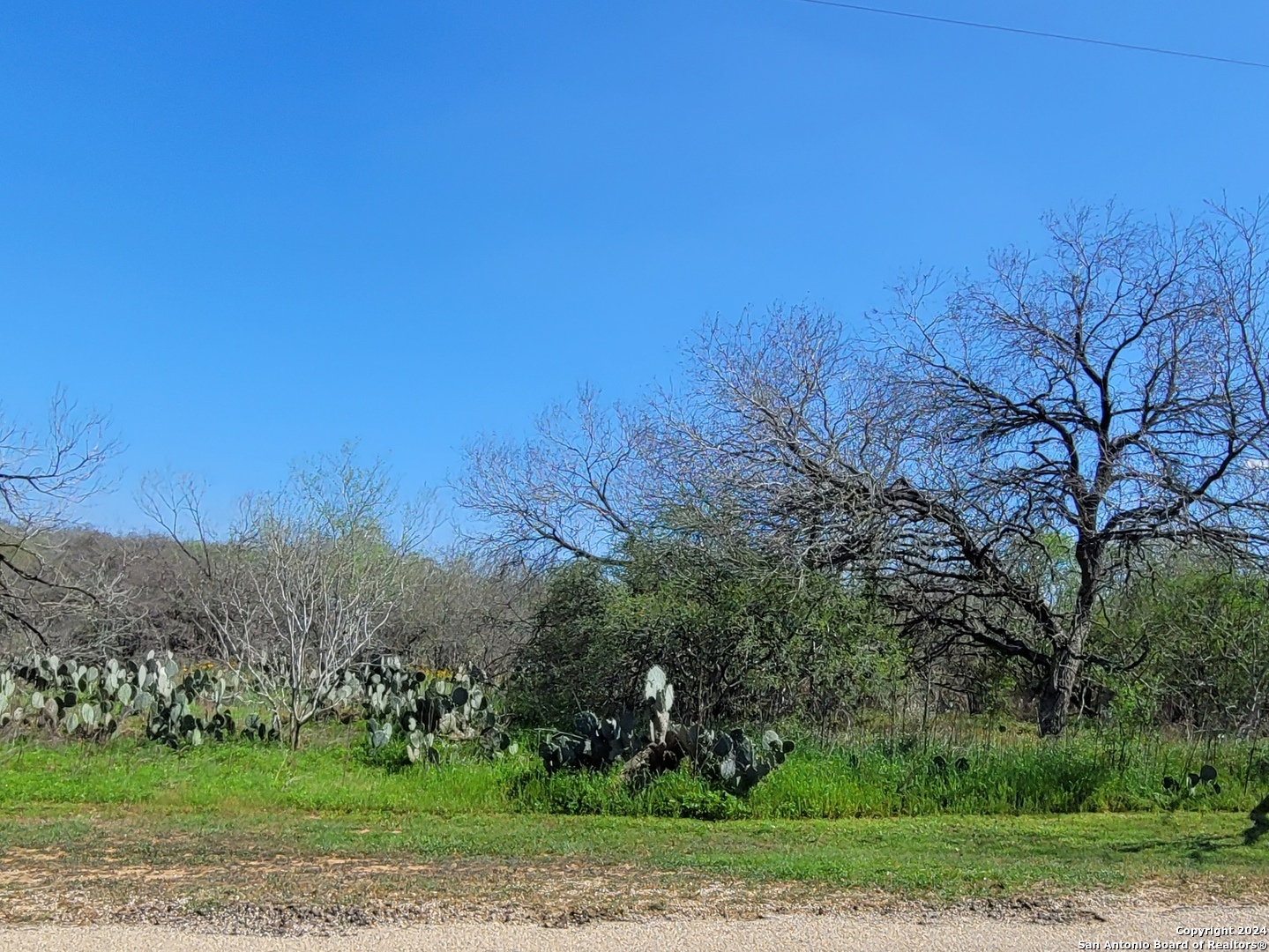 Photo of 167 Country View Ln in Floresville, TX