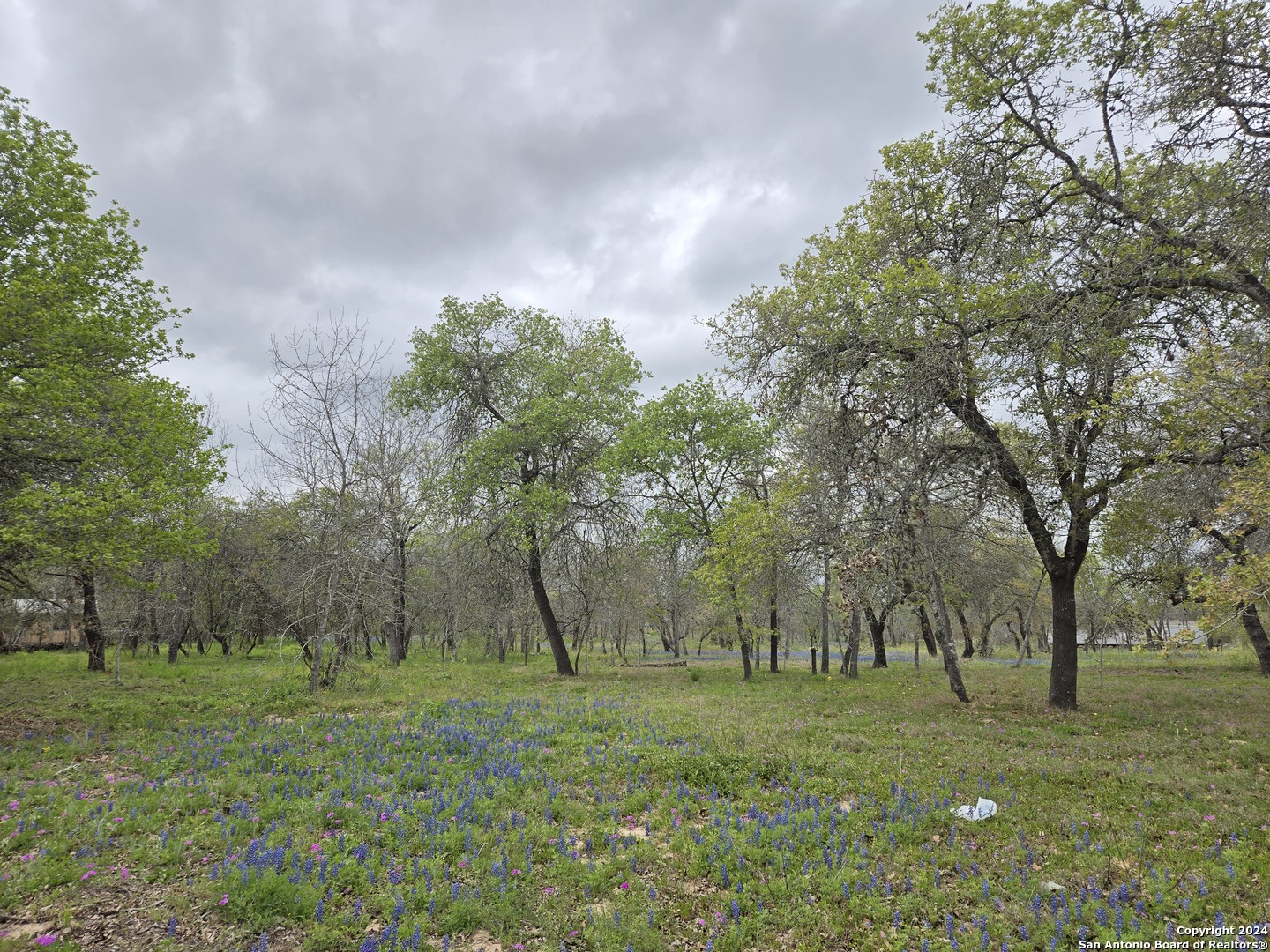 Photo of 22780 Petwood in San Antonio, TX