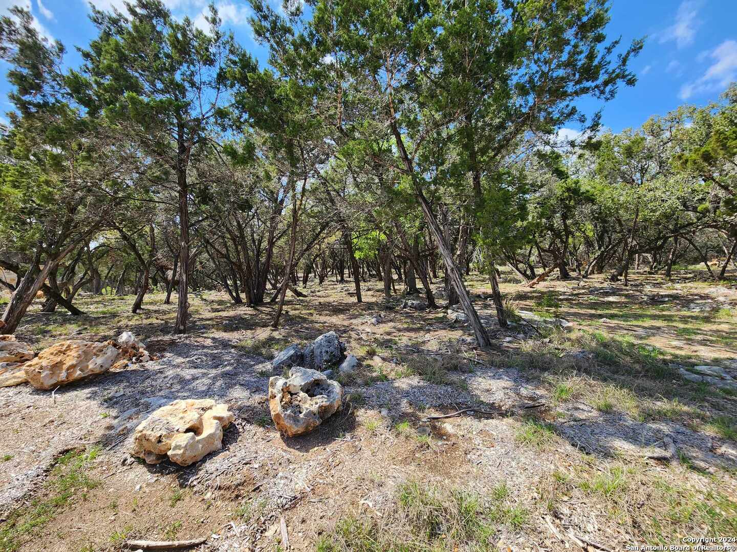 Photo of Lot 19 Forest Lake Dr in Spring Branch, TX