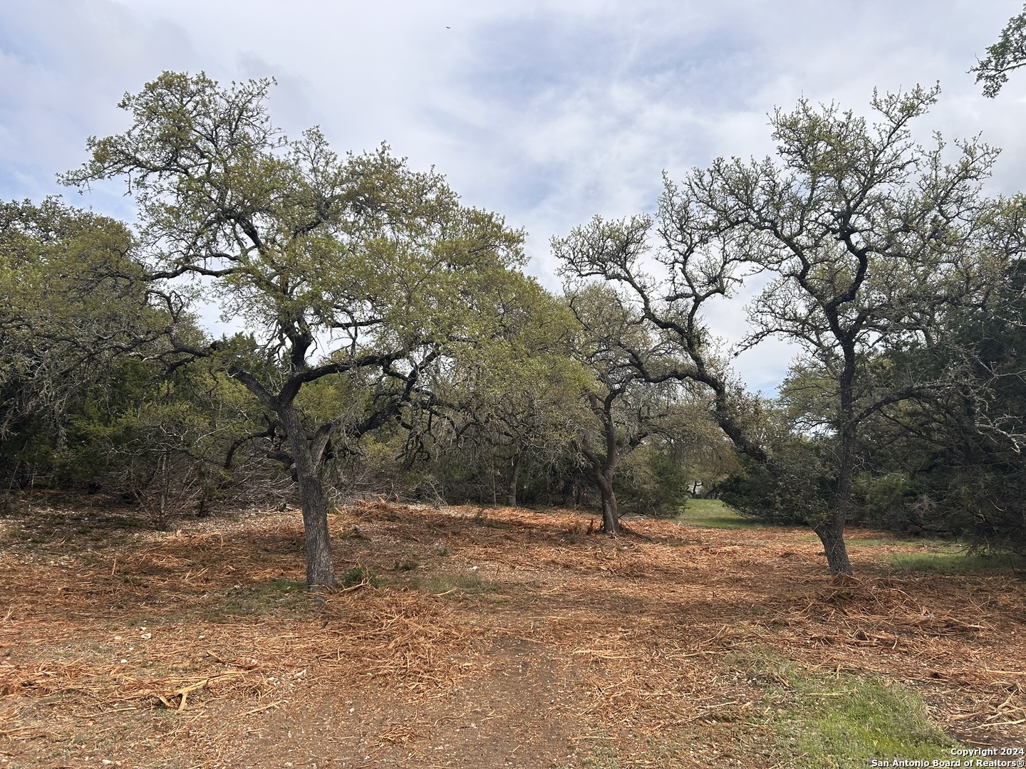 Photo of 16 Woodland Vw in Fair Oaks Ranch, TX