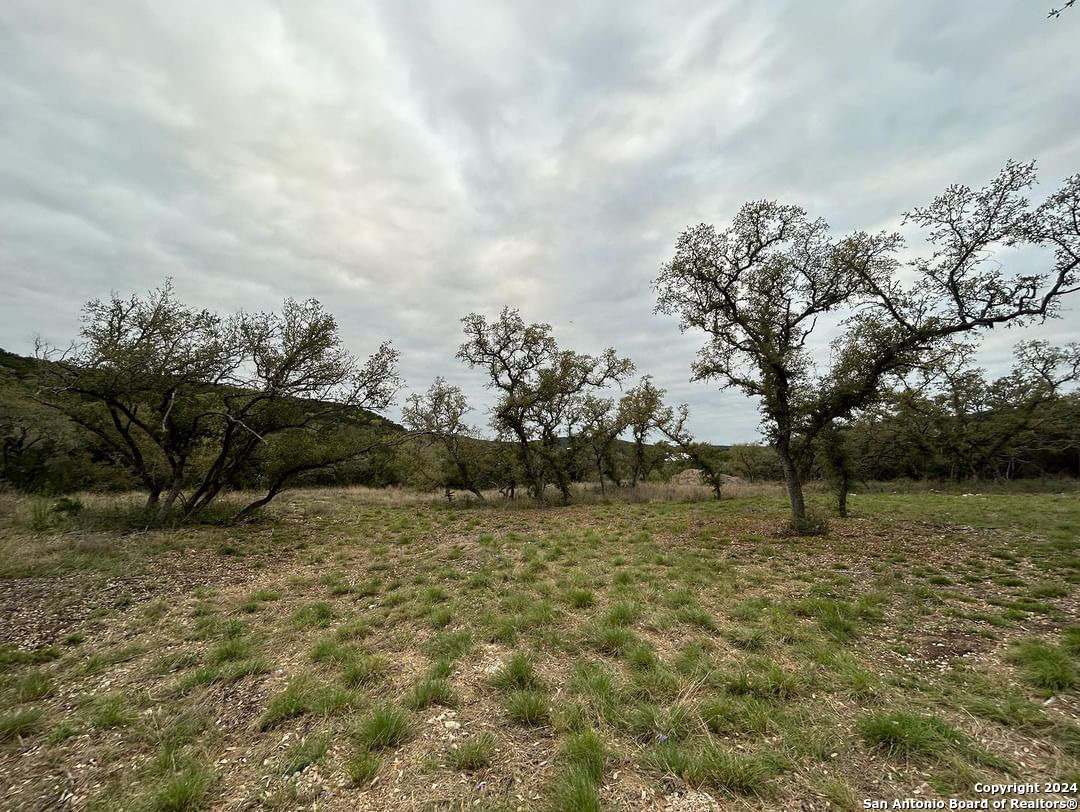 Photo of 361 Private Rd 1742 in Mico, TX