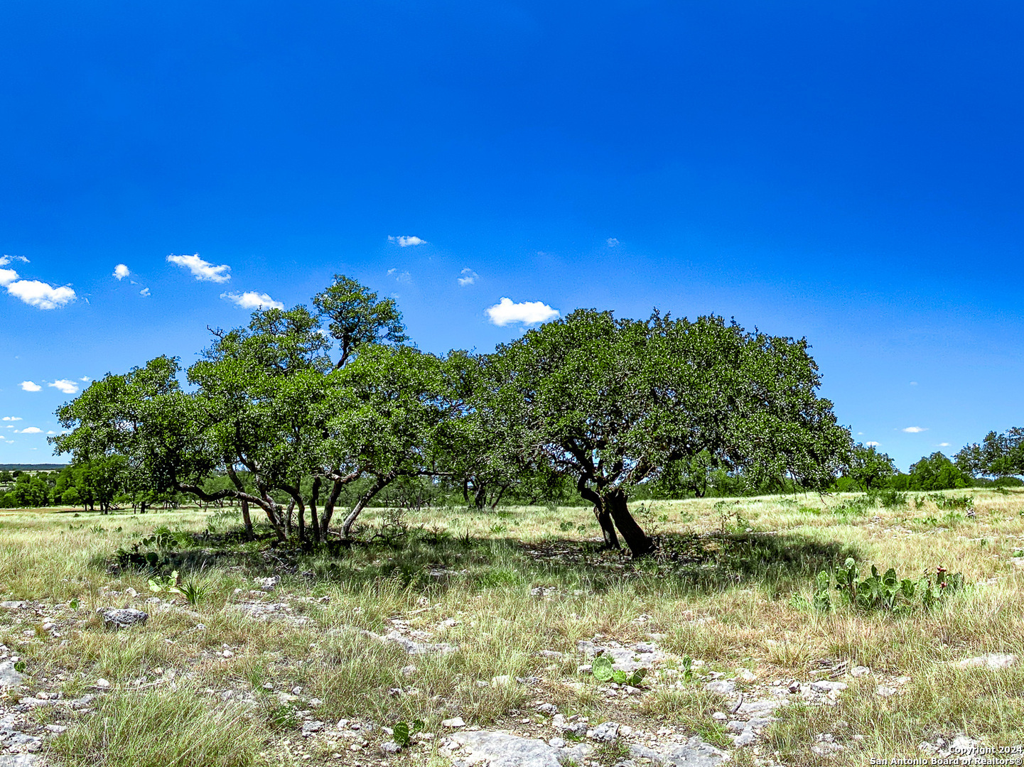 Photo of 67 Loma Vista Rnch in Kerrville, TX