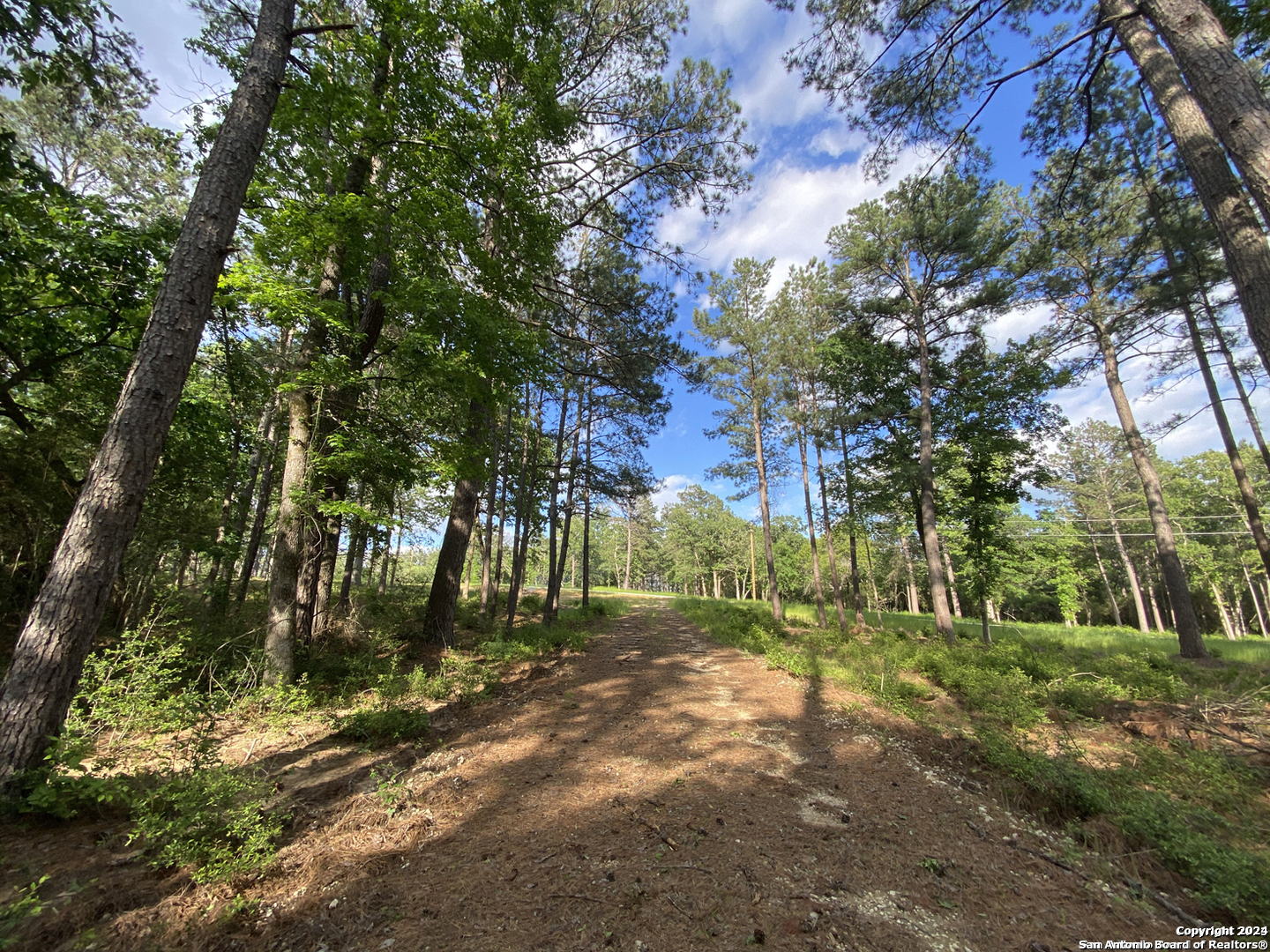 LOT 23 Three Lakes Ranch, Centerville, TX 