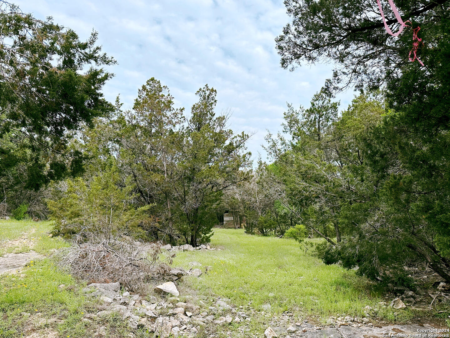 Photo of 0 Forest Lake Dr in Spring Branch, TX