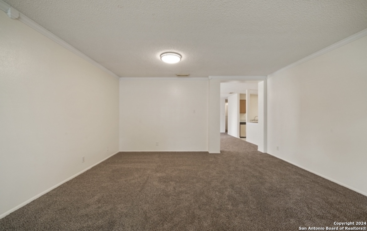 6863 Cypress Mist   Converse TX 78109