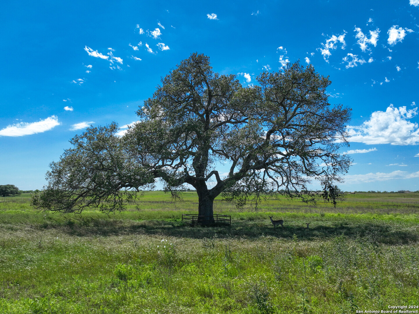 Photo of 977 Cr 305 in Floresville, TX