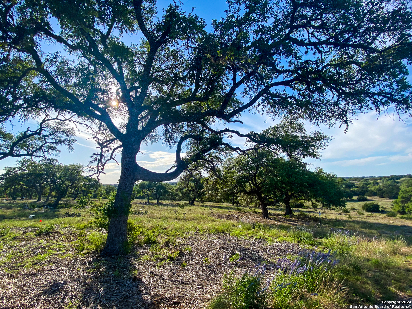 Photo of Lot 153 Loma Vista Rnch in Kerrville, TX