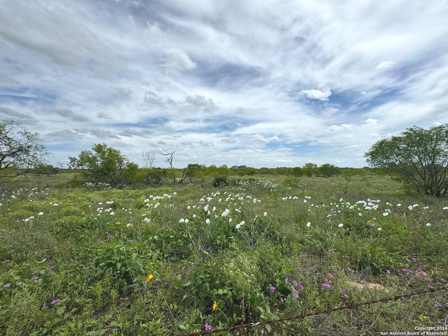 Photo of Lot 30 Hwy 173 in Devine, TX