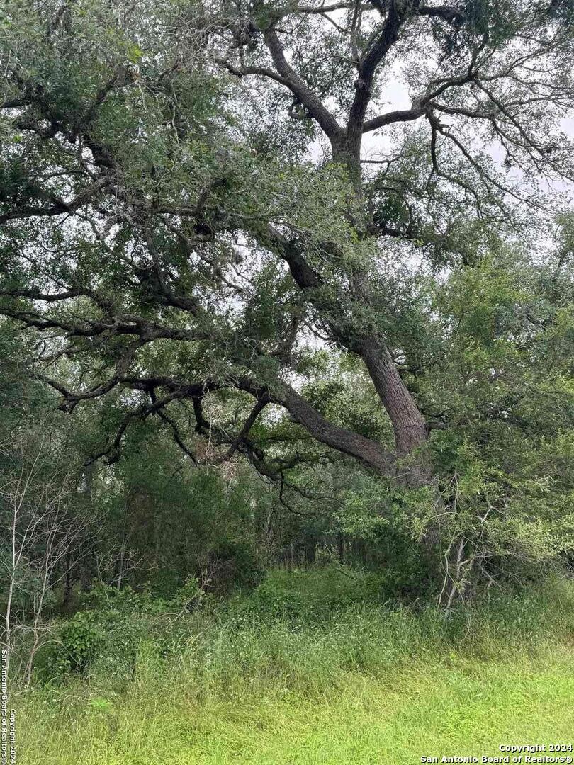 Photo of Tbd Cr 333 in Sutherland Springs, TX