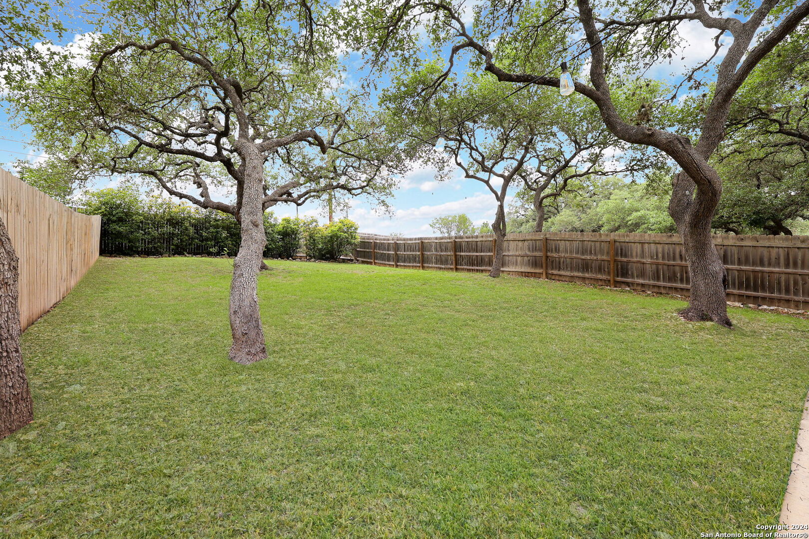 20523 Tree Meadow   San Antonio TX 78258