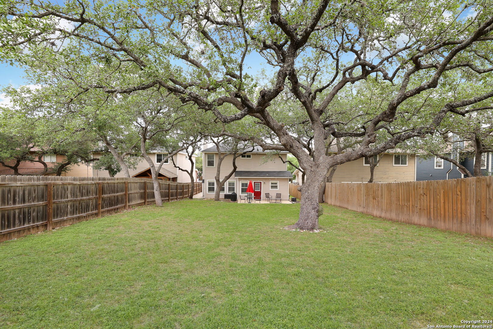20523 Tree Meadow   San Antonio TX 78258