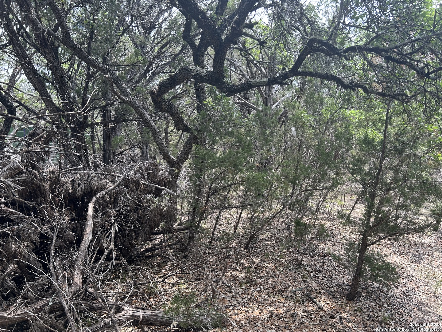 Photo of Lot 30 Water Dr in Bandera, TX