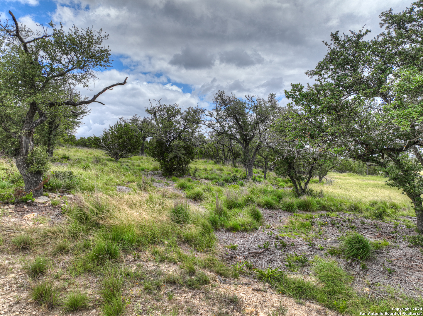 85 Majestic hills, Blanco, TX 78606