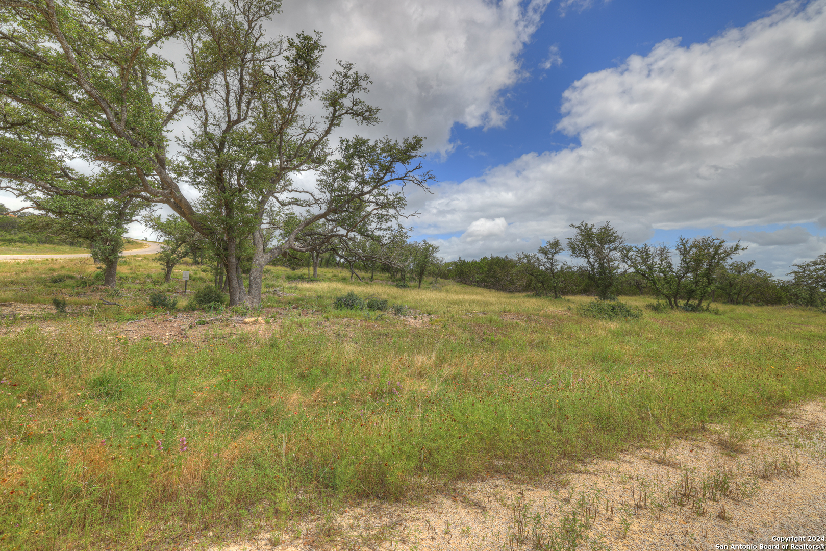 85 Majestic hills, Blanco, TX 78606