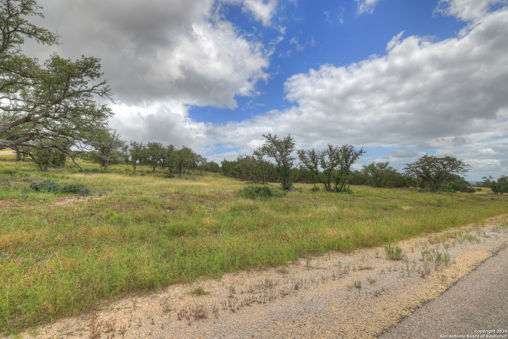 85 Majestic hills, Blanco, TX 78606