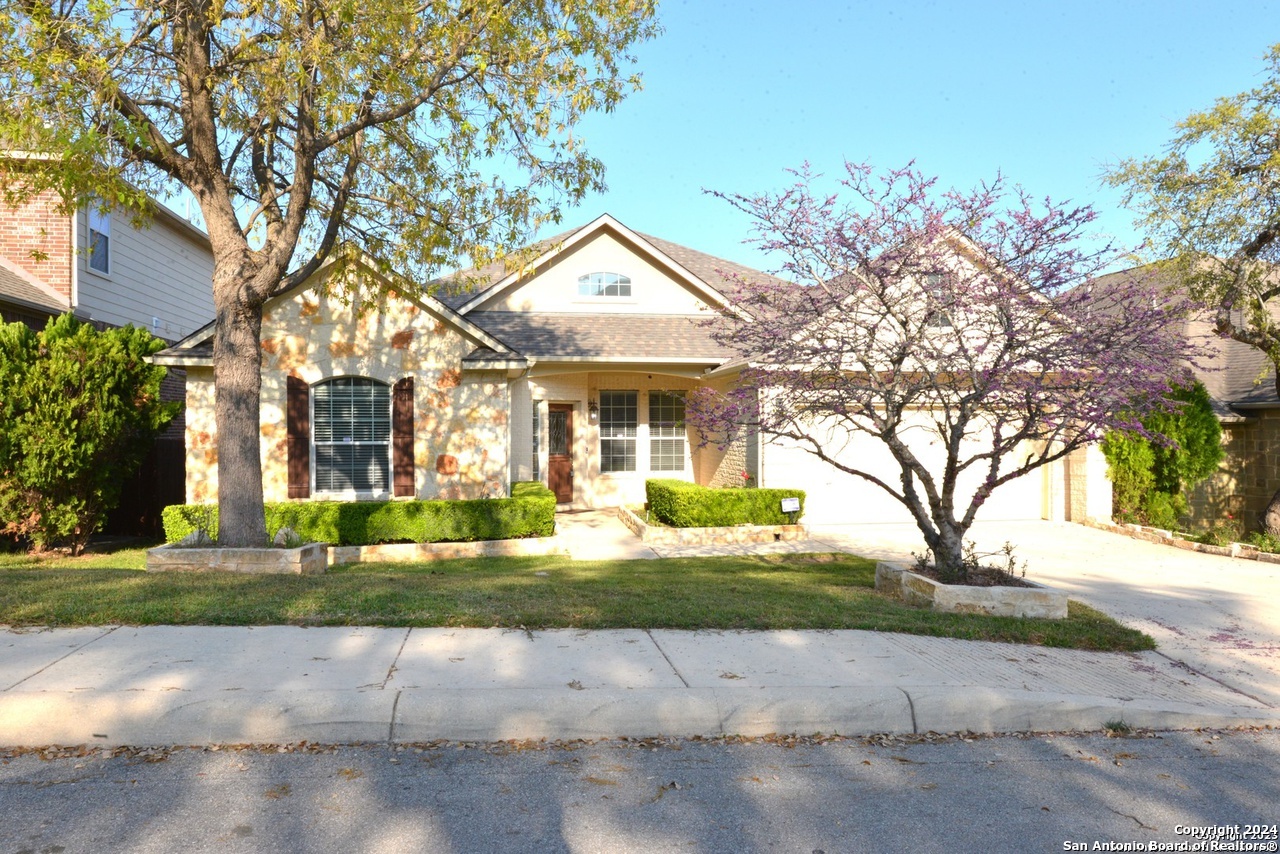 2402 CORTONA MIST, San Antonio, TX 78260