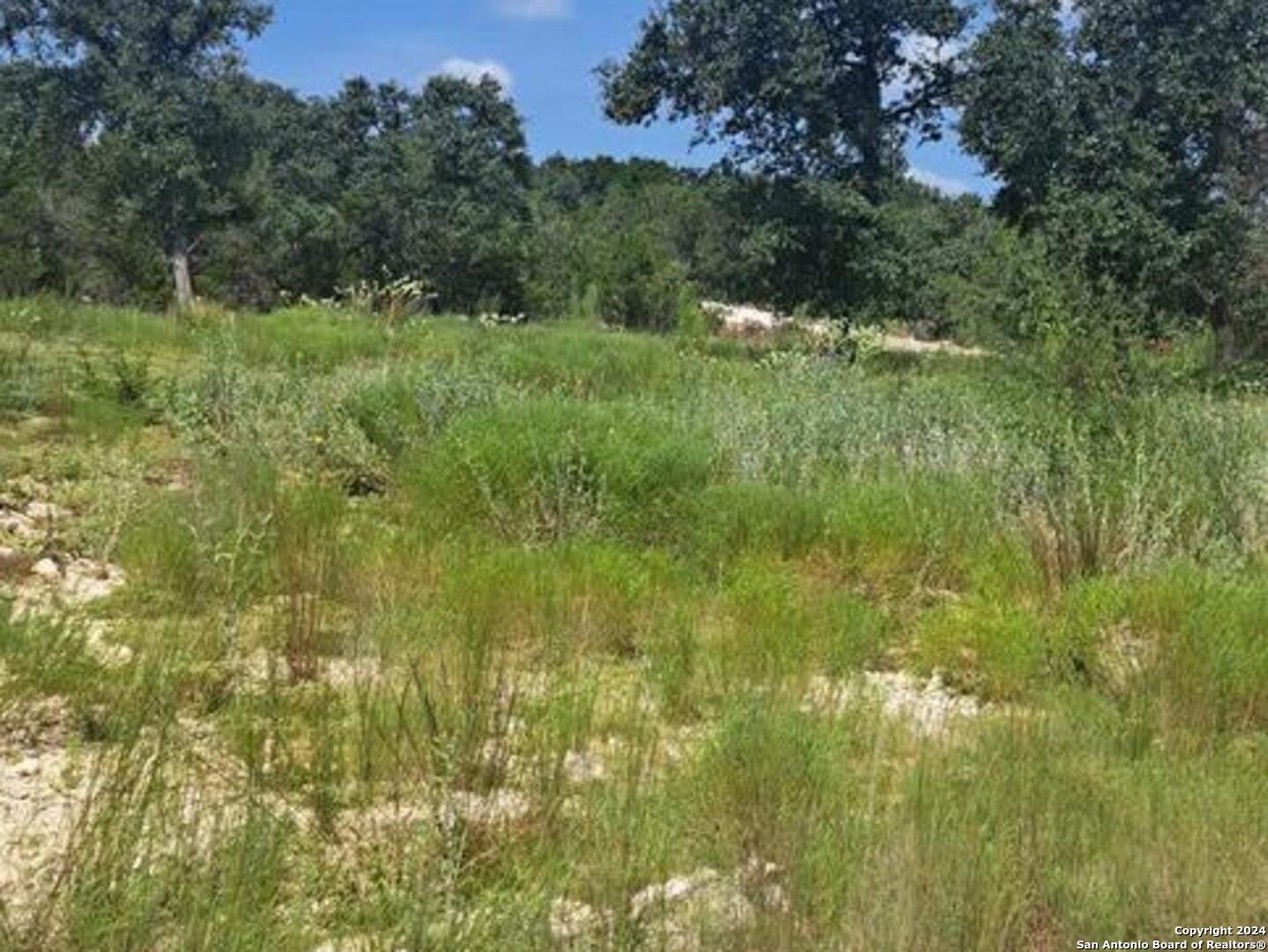 1064 Ken Wayne, Spring Branch, TX 78070
