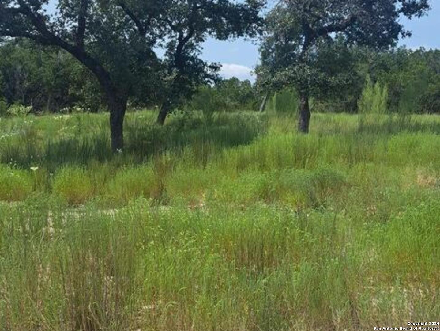 1064 Ken Wayne, Spring Branch, TX 78070