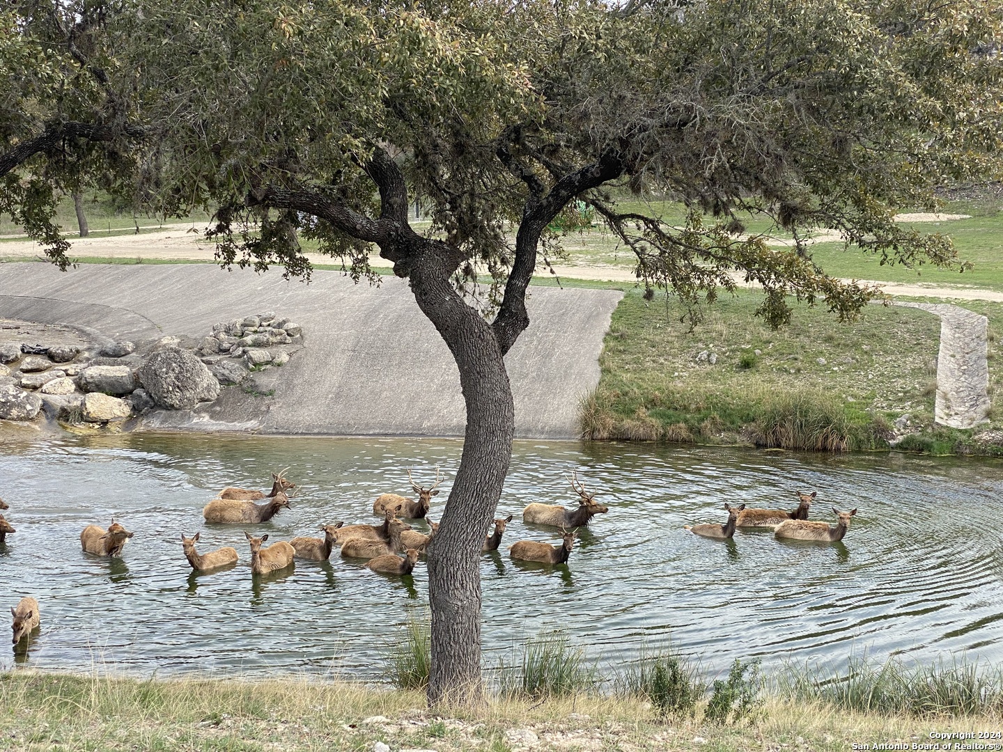 LOT 56 Red Stag Lane, Pipe Creek, TX 78063