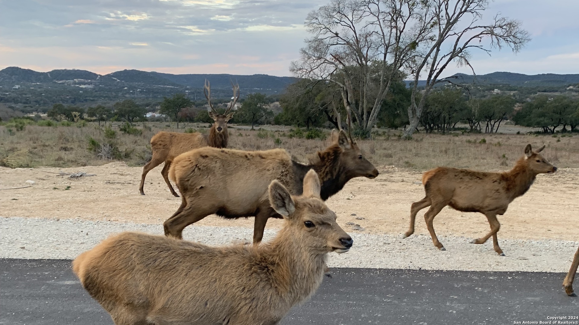 LOT 56 Red Stag Lane, Pipe Creek, TX 78063