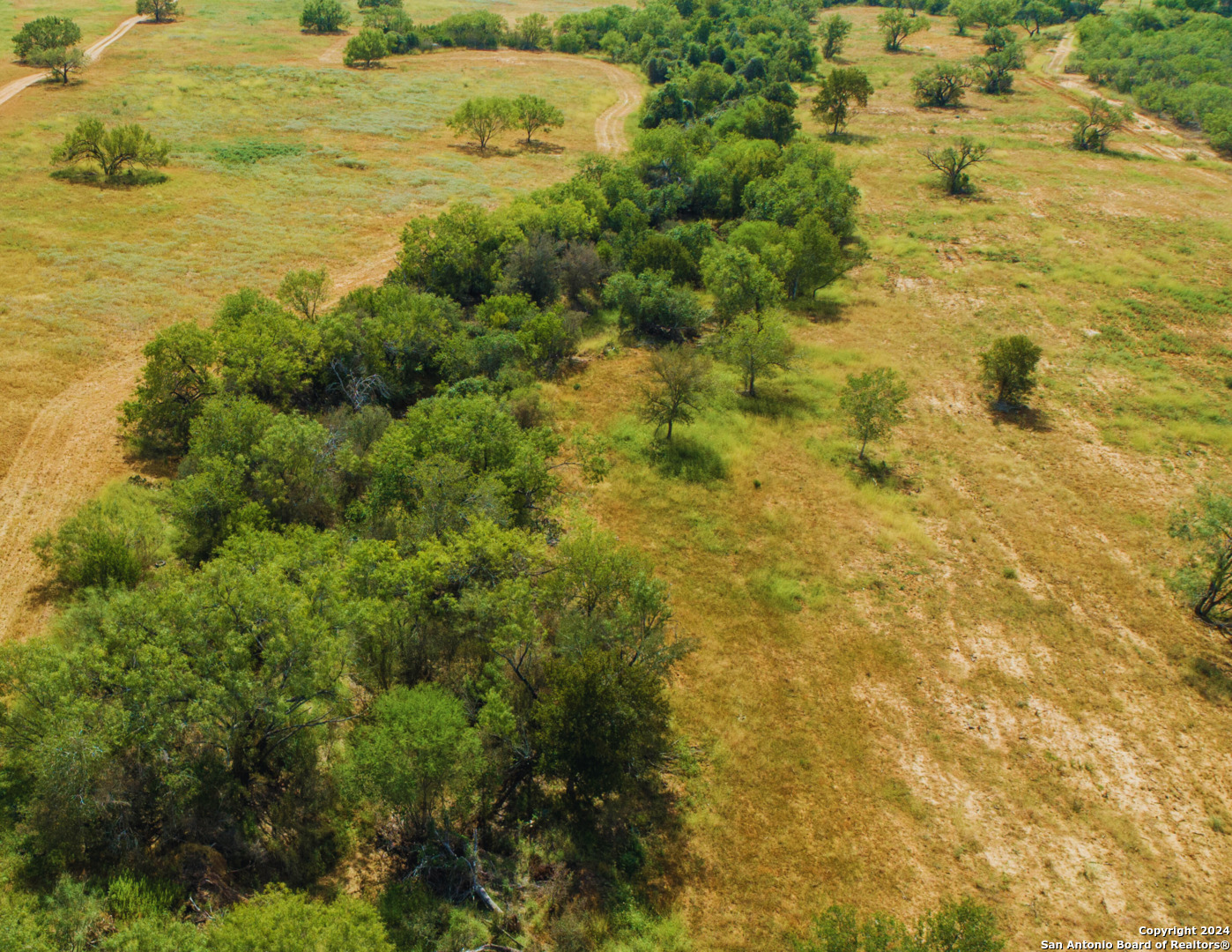 546 PR Goose Creek Ln, Jourdanton, TX 78026