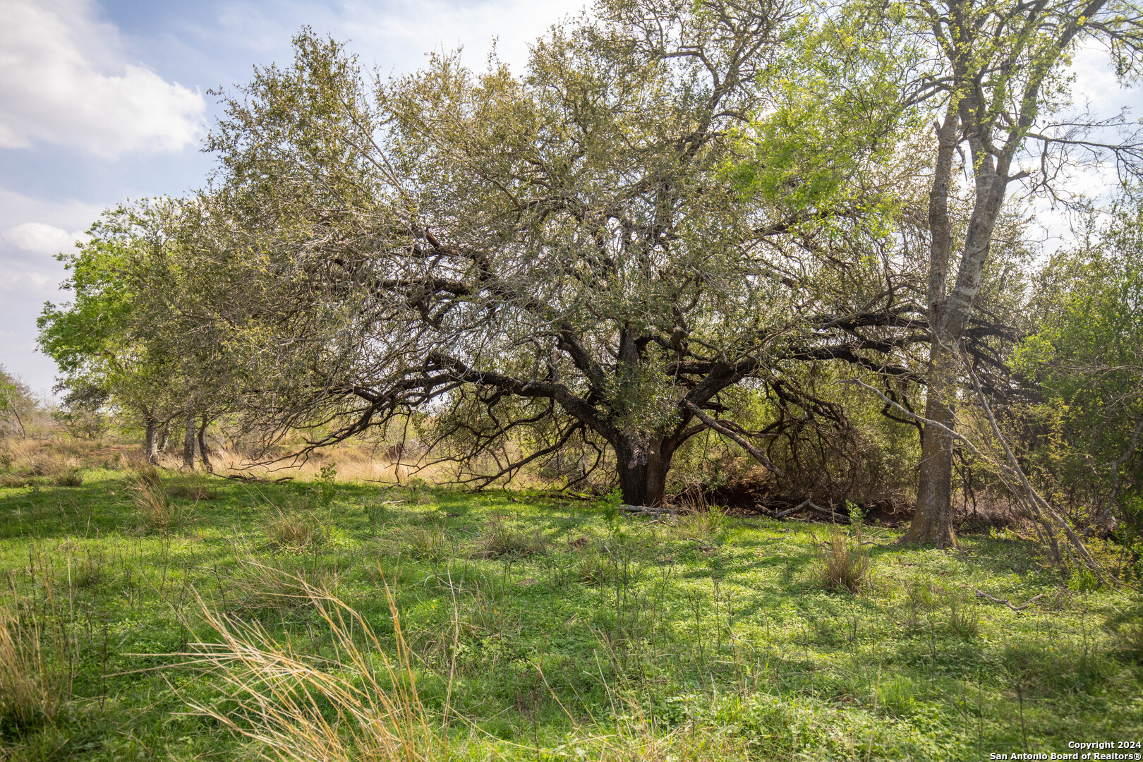 546 PR Goose Creek Ln, Jourdanton, TX 78026