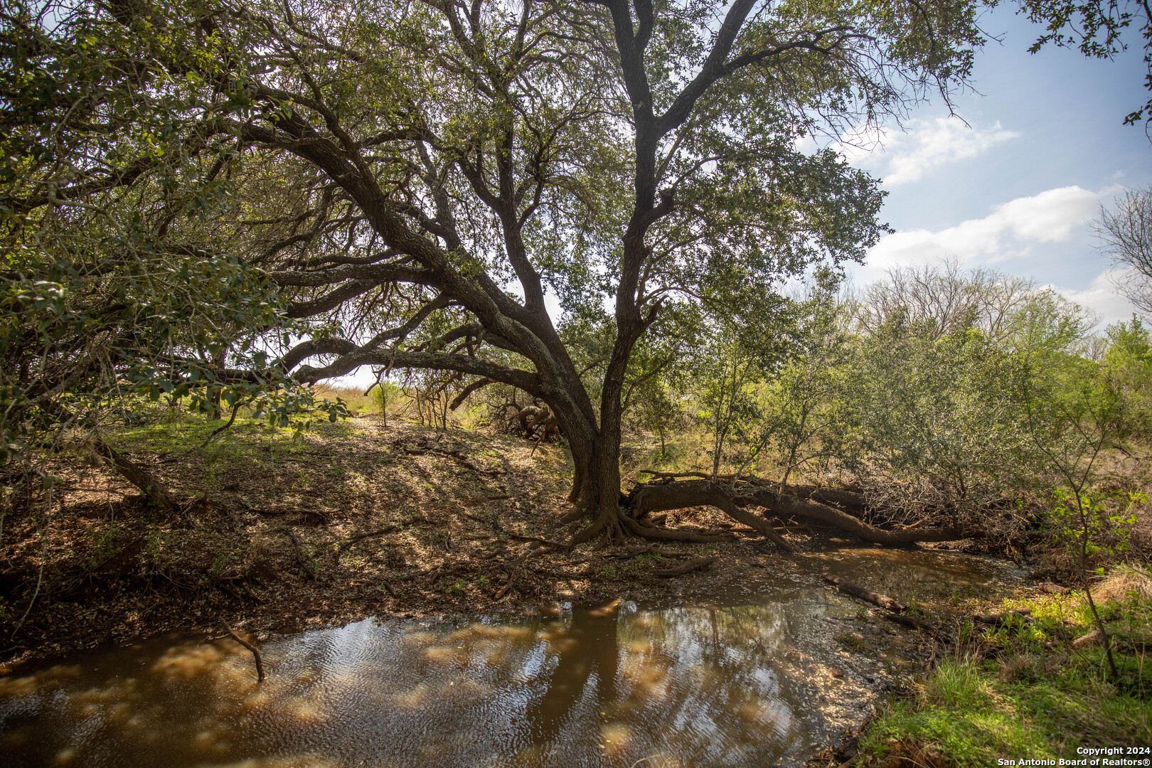 546 PR Goose Creek Ln, Jourdanton, TX 78026