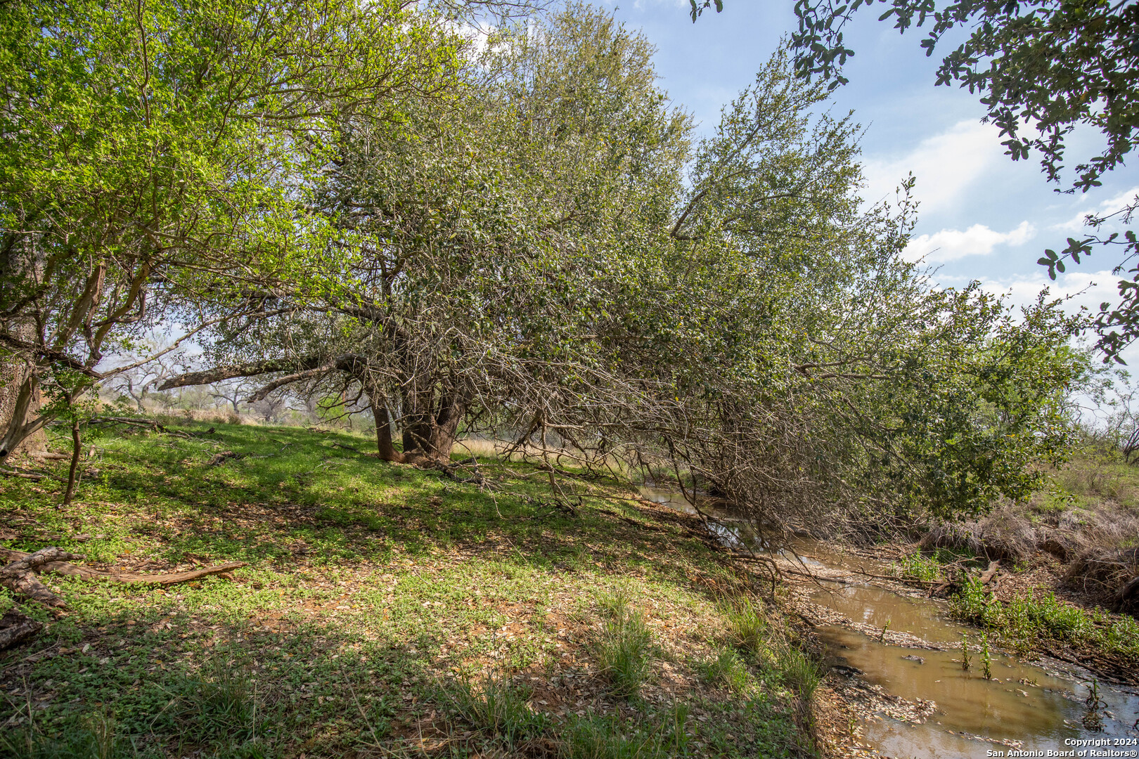 546 PR Goose Creek Ln, Jourdanton, TX 78026