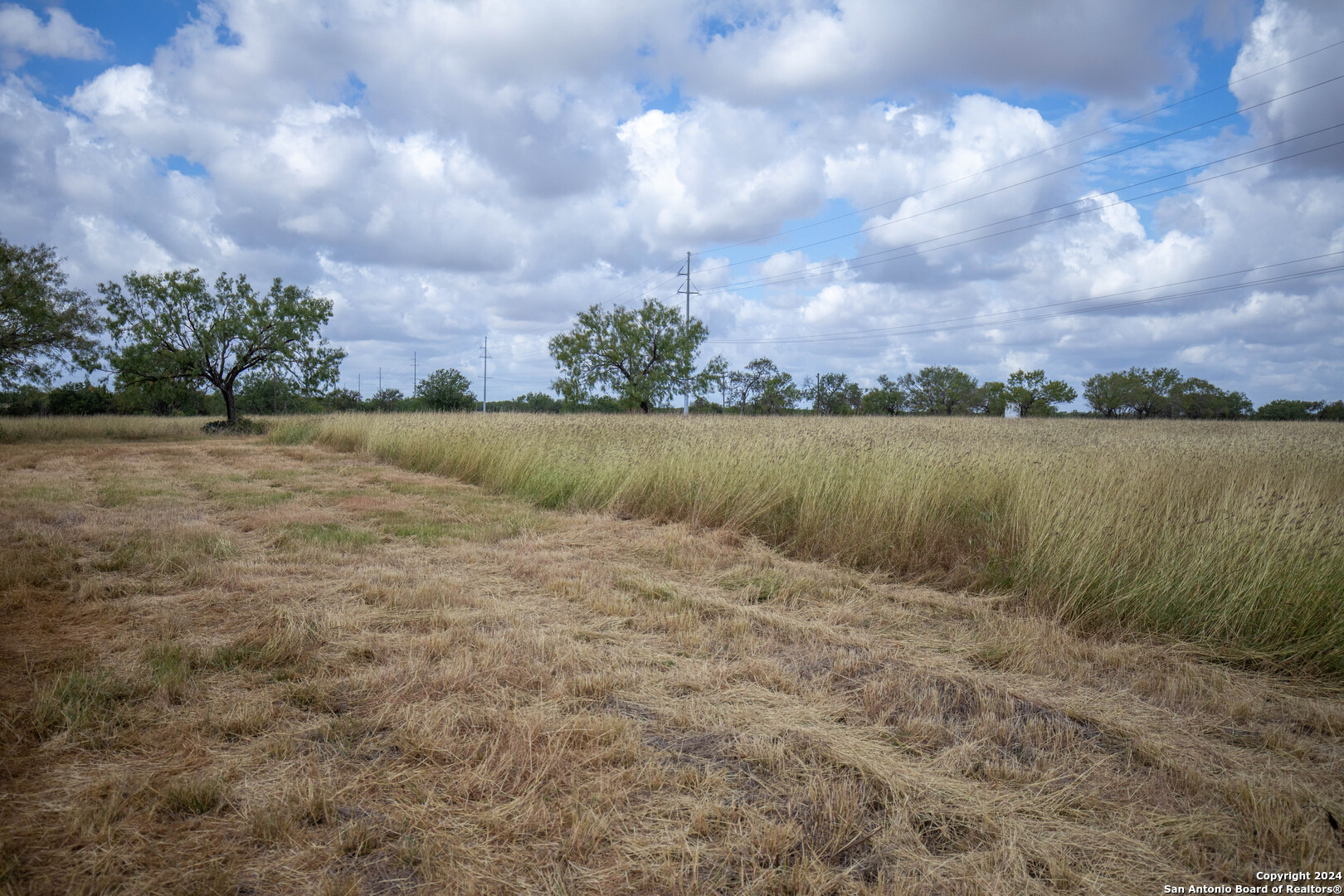 546 PR Goose Creek Ln, Jourdanton, TX 78026