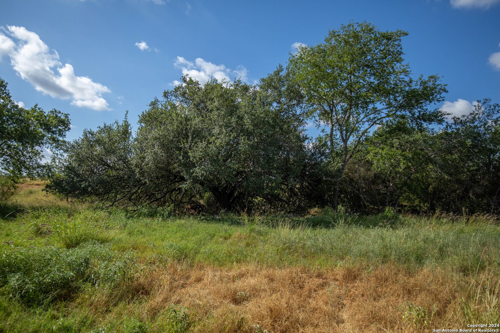 546 PR Goose Creek Ln, Jourdanton, TX 78026