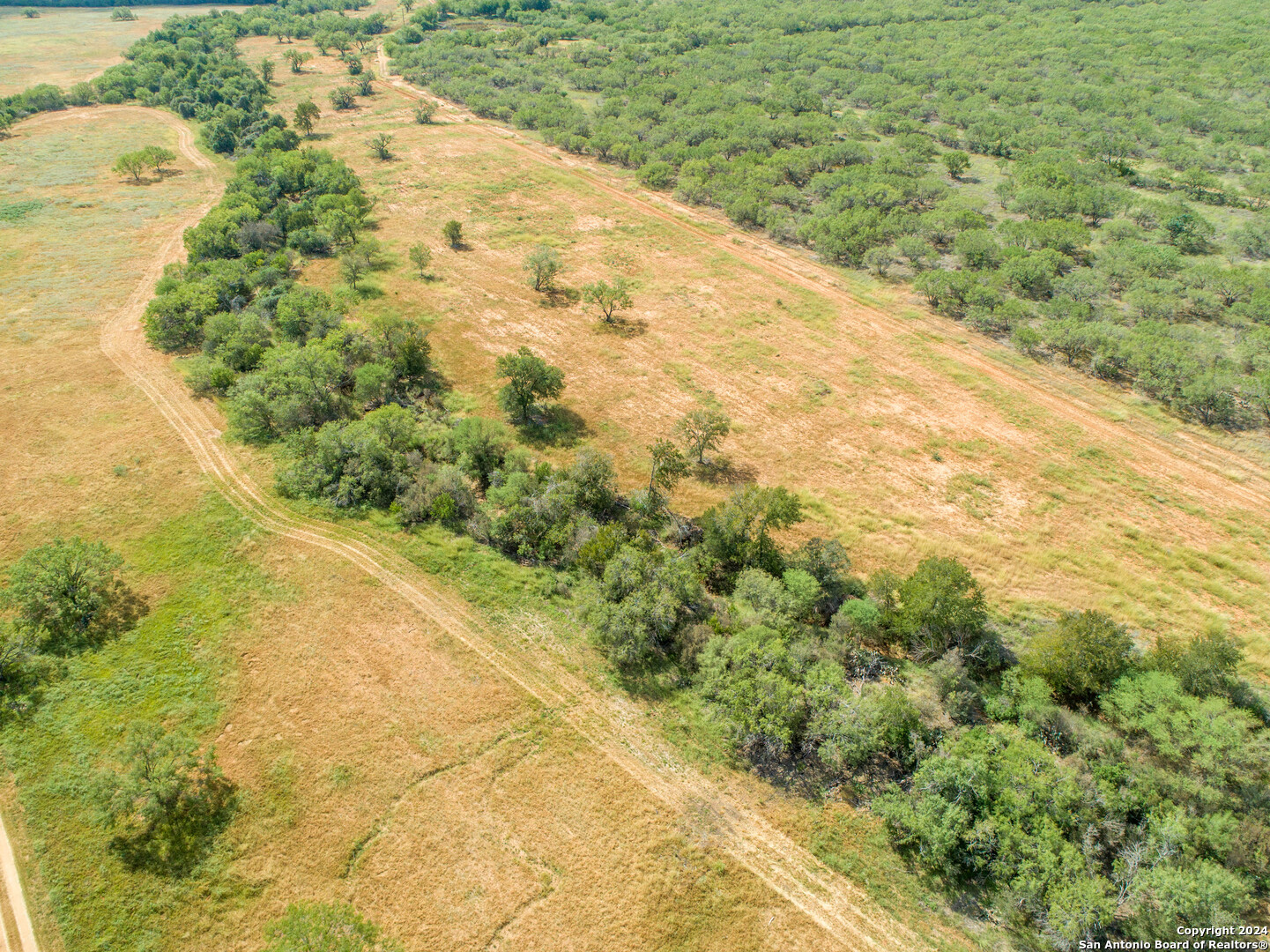 546 PR Goose Creek Ln, Jourdanton, TX 78026