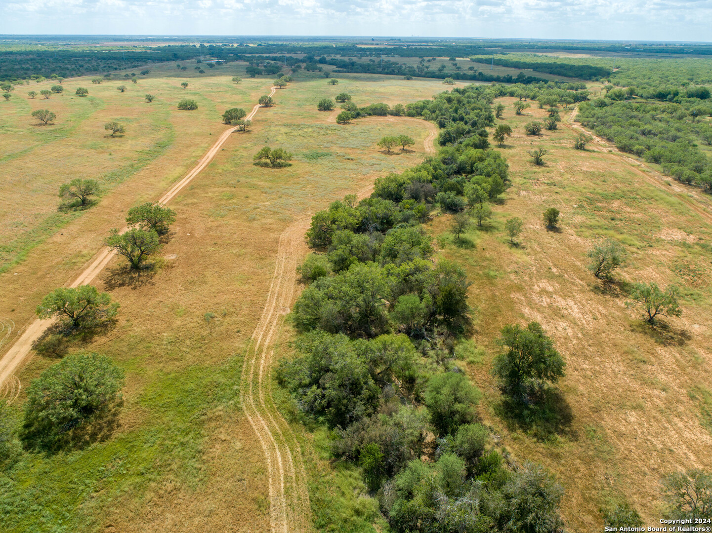 546 PR Goose Creek Ln, Jourdanton, TX 78026