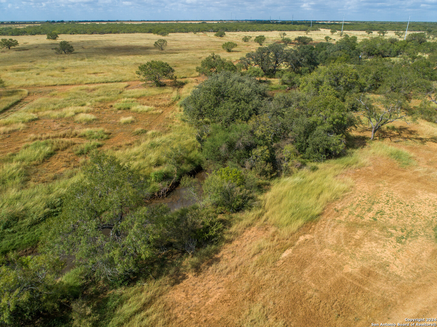 546 PR Goose Creek Ln, Jourdanton, TX 78026