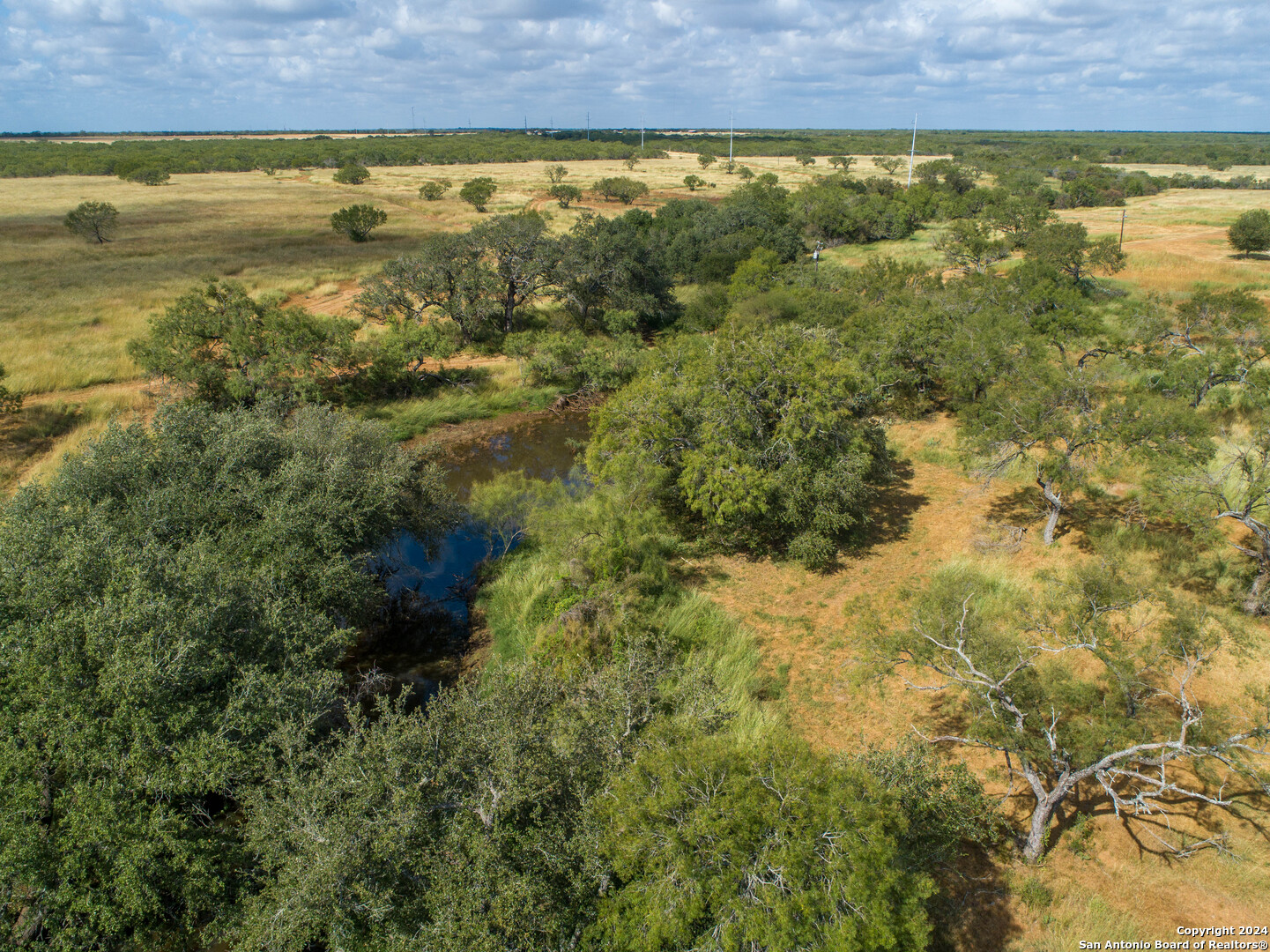 546 PR Goose Creek Ln, Jourdanton, TX 78026