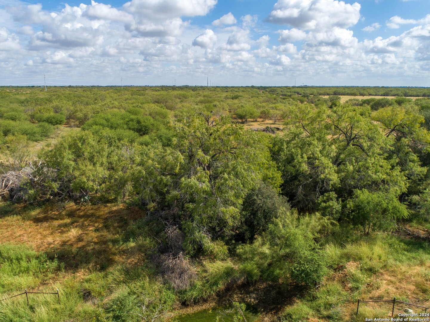 546 PR Goose Creek Ln, Jourdanton, TX 78026