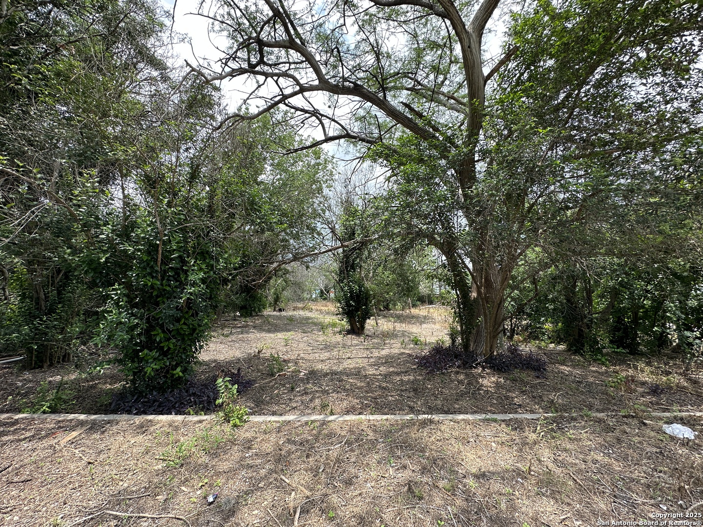 139 ANDERSON AVE, San Antonio, TX 78203