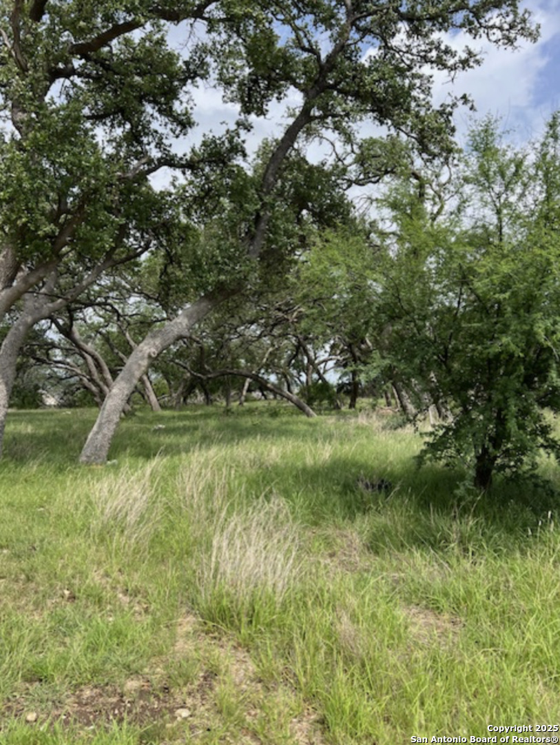 Welcome to your serene retreat in the sought-after Vintage Oaks community. This 1-acre lot is graced with many mature oak trees, offering a perfect blend of natural beauty and privacy. Imagine building your dream home here, surrounded by the timeless charm of oak trees. Don't miss this opportunity to create your own peaceful sanctuary.