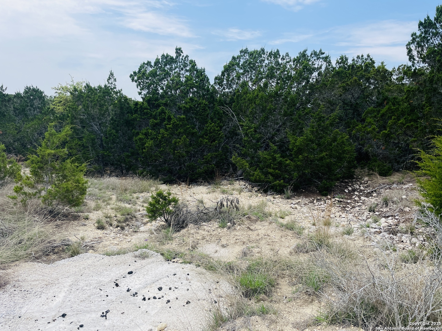 350 SD 23110, Rocksprings, TX 78880