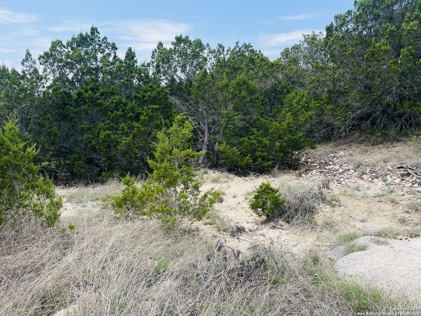 350 SD 23110, Rocksprings, TX 78880